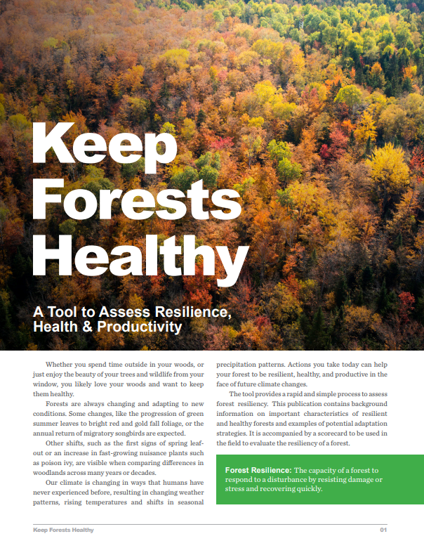 Keep Forests Healthy cover document with aerial view of fall orange red trees and text.