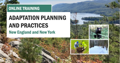 Banner advertising Adaptation Planning and Practices 2026 training