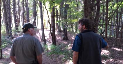 Two land managers, one of which is park staff, discuss forest management in the forest.