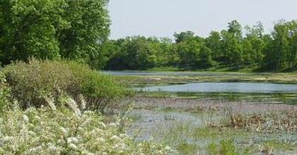 Crow-Hassan Park Reserve