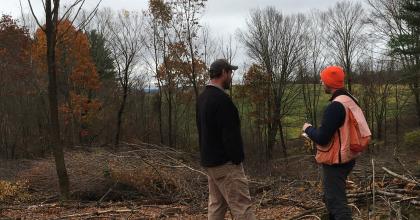 two foresters in the woods