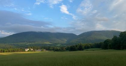 A wide pasture surrounded by forest with mountains in the background.