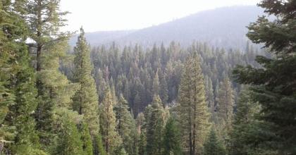 Overlook of Tahoe National Forest