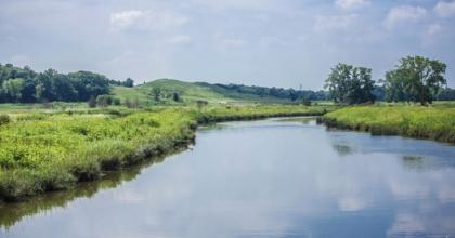 photo of a stream with native vegetation 
