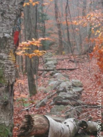 The project area in fall.