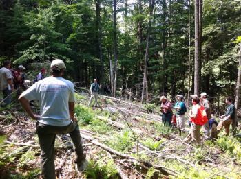 field tour