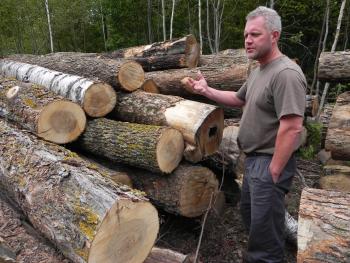 One of the primary goals of management at Sugar Hills is to provide high-quality sawlogs for the Rajala's mill. 