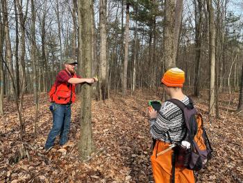Researchers measure trees at the CCAR site in Stone Valley Experimental Forest.. 