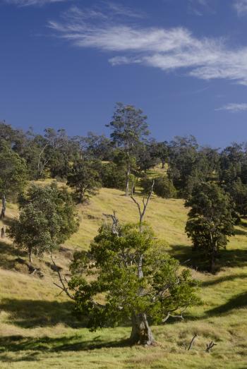 Open Pasture, Credit: Mark Wasser, NPS