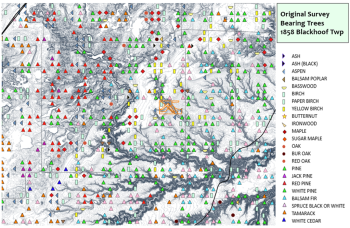 Map of the original land survey witness trees overlaid on the Carlton County landscape