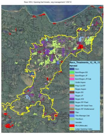 Map of proposed treatments in the Raco area. 