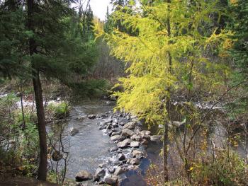 The Poplar River runs through the Barker project area. 