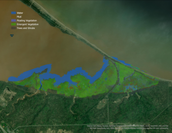 Map of vegetation in Allouez Bay