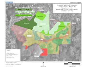 Map of forest stands in Mudd Working Forest