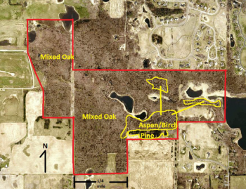 A forest type map for Sunfish Lake Park, prepared by Steve Kunde. 