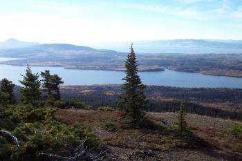 Photo of John Prince Research Forest overlooking lake view. Photo Credit: Sue Grainger.