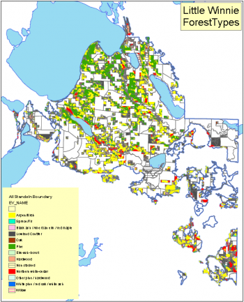 Forest type map for the Little Winnie project area. 