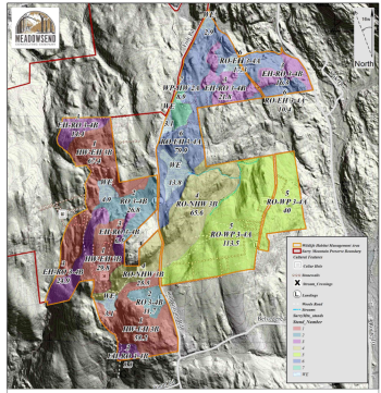 Stand map of Surry Mountain Preserve