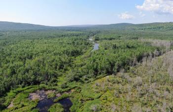 Aerial view of North Pikes Creek