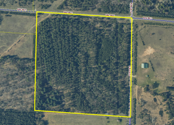 Aerial image of Kaleva property that shows predominately forested land with rows of conifers