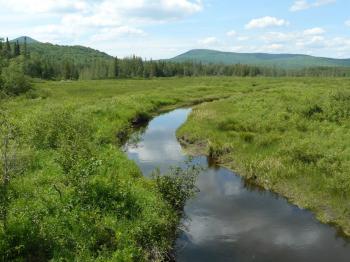A view of the Victory Basin Wildlife Management Unit and Victory Basin State Forest. Photo courtesy Vermont Fish and Wildlife Department.