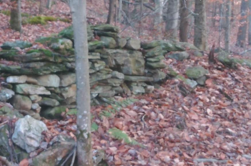 an old stone wall in a forest