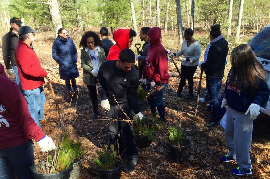 a group of students planting trees in a forest