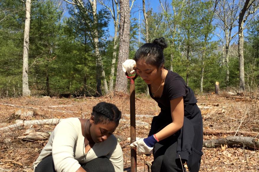 two students planting trees in a forest