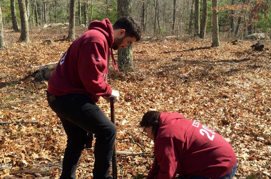 two students planting trees in a forest