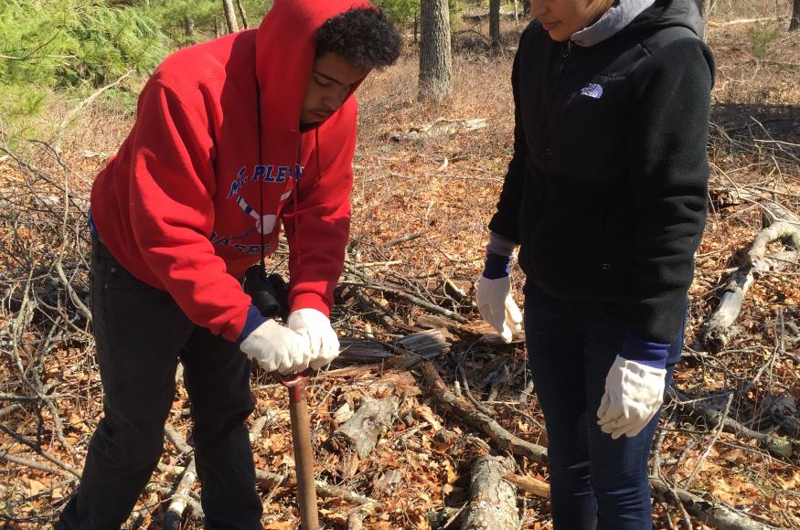 two students planting trees in a forest