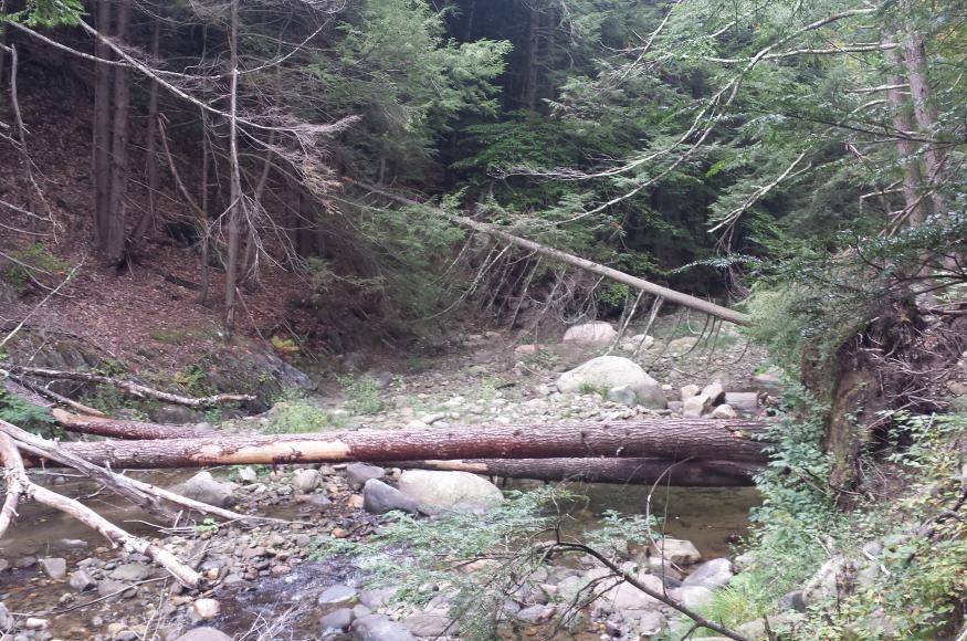 A rocky stream.