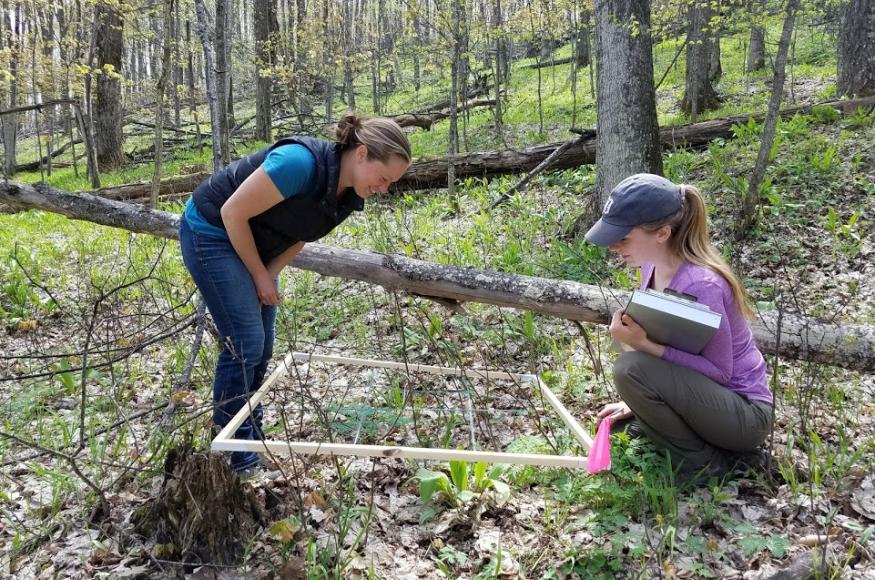 Liana May (Borealis Consulting) and Edie Juno monitoring vegetation on the property. 