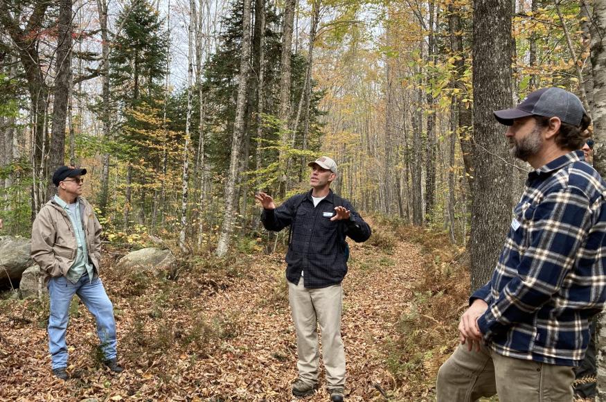 Forester Dan Kilborn speaking to a group of forestry professionals at Mud Pond Forest.