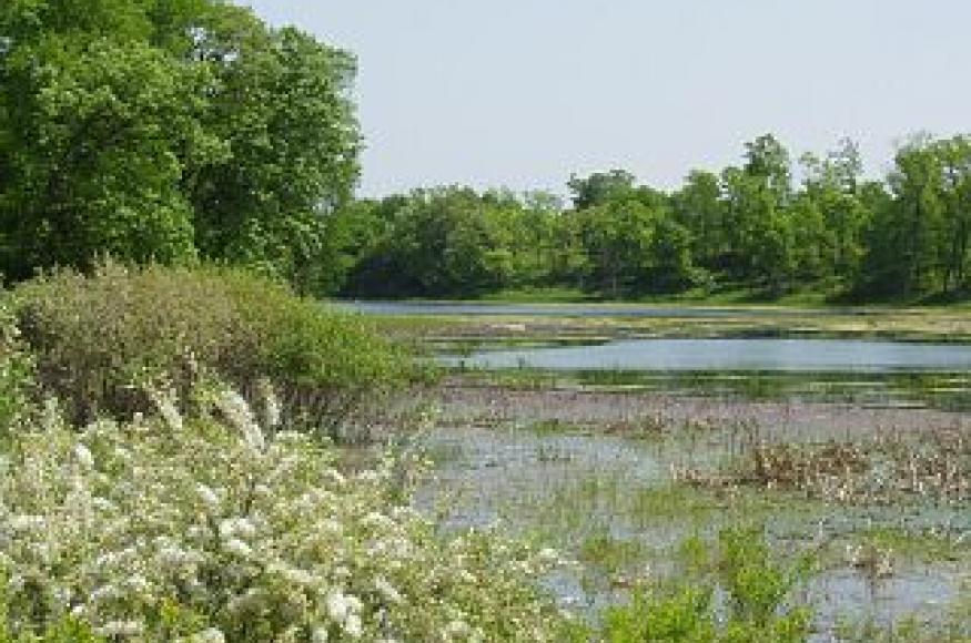 Crow-Hassan Park Reserve