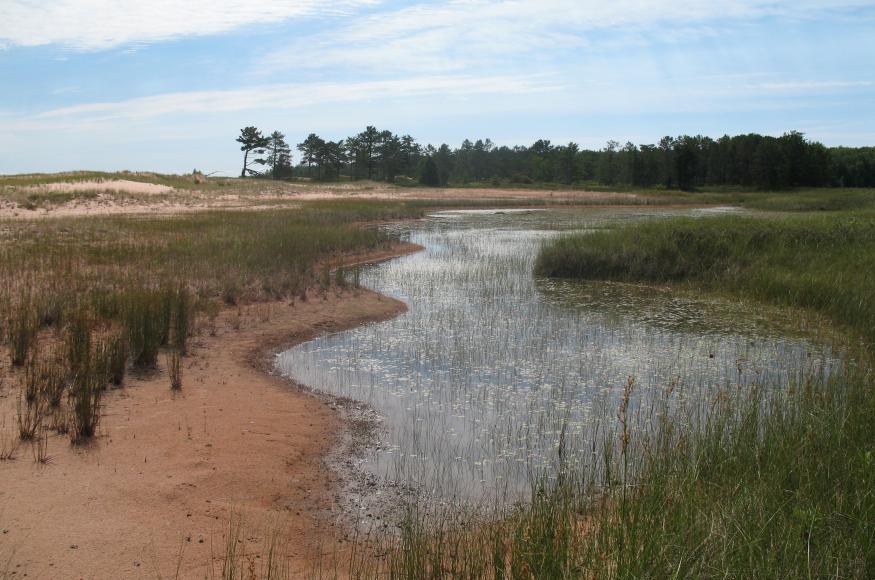 Coastal wetland at Apostle Islands Nat. Lakeshore. Image: P. Burkman