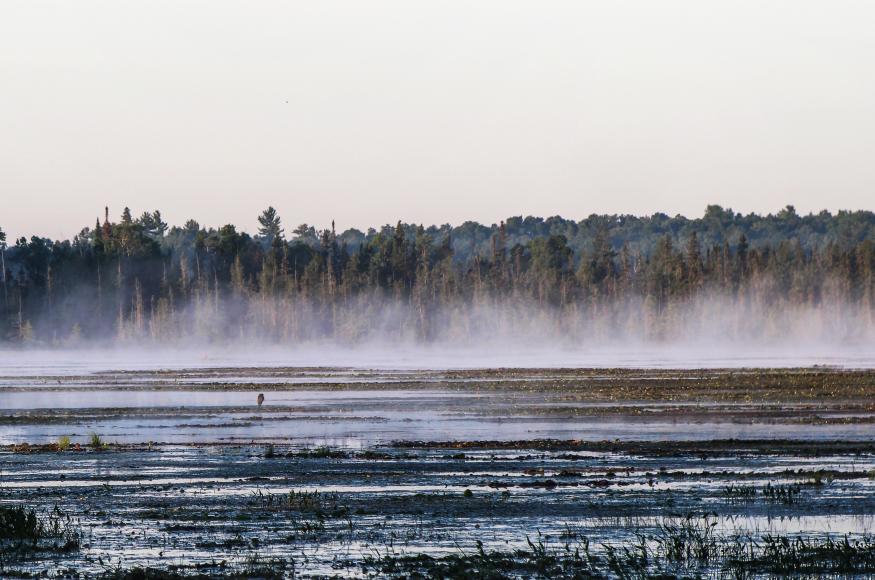 Spur Lake and fog by Aaron Carlson