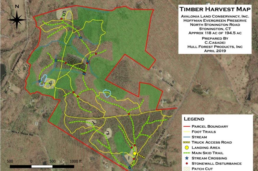 Aerial timber harvest map delineating areas within the preserve of harvest, no harvest, foot trails, stream crossings, and access roads