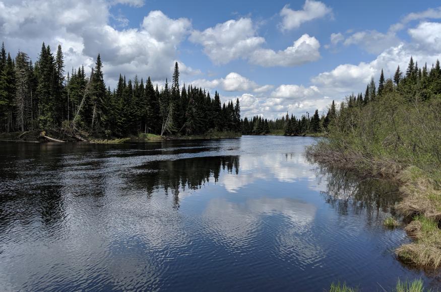 A calm river with conifers on each side.