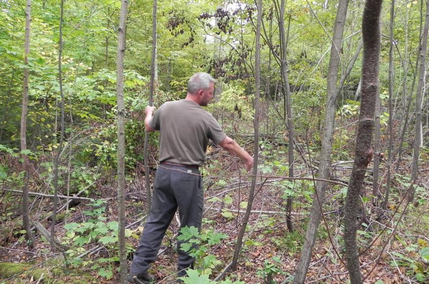 John Rajala explaining the Raivos thinning treatment. 