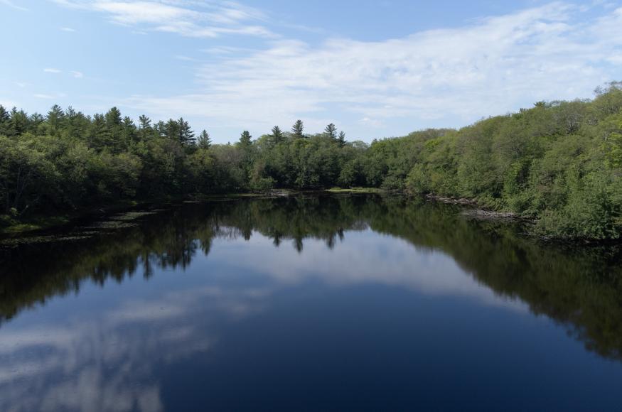 View of Dan Charles Pond