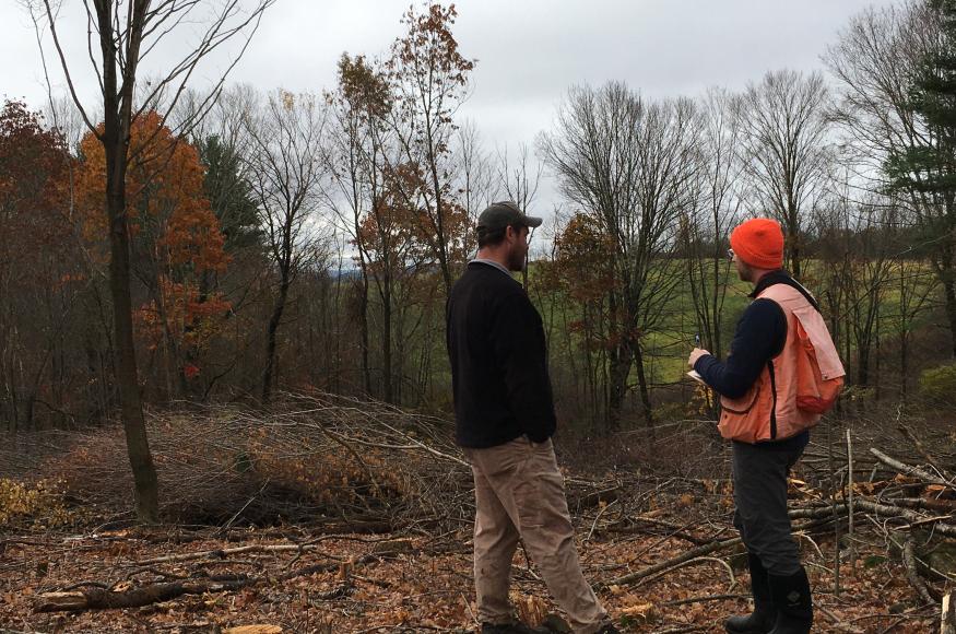 two foresters in the woods