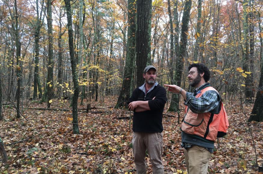 two foresters in the woods