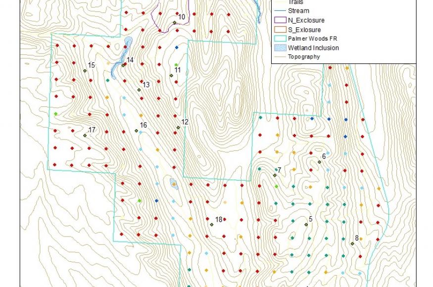 Location of the two large deer exclosures at Palmer Woods (35 acres total). 