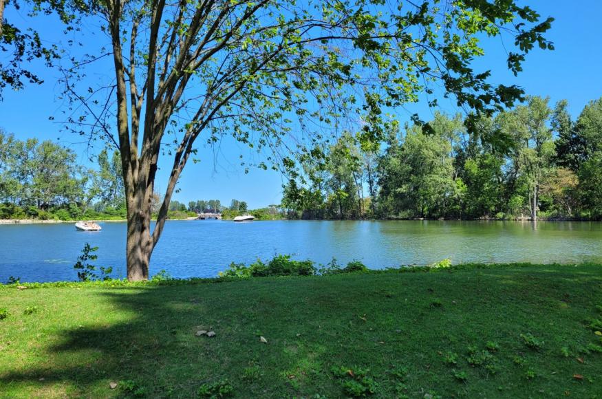 Ford Cove pre-construction