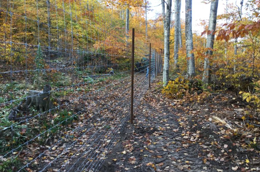 One of the deer exclosures at Palmer Woods. 