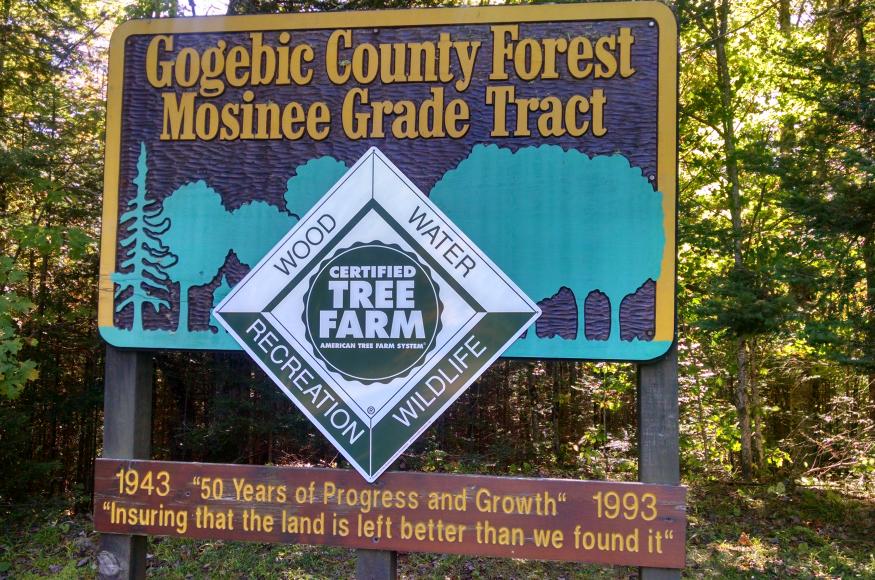Mosinee GEMS project sign. 