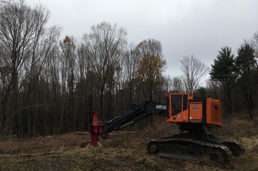 Forest harvest equipment at Elm Hill Forest