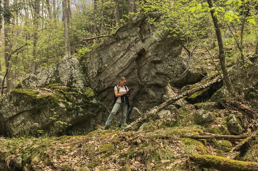 A moss-covered rocky outcrop at Surry