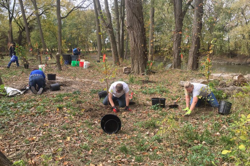 Volunteers plating