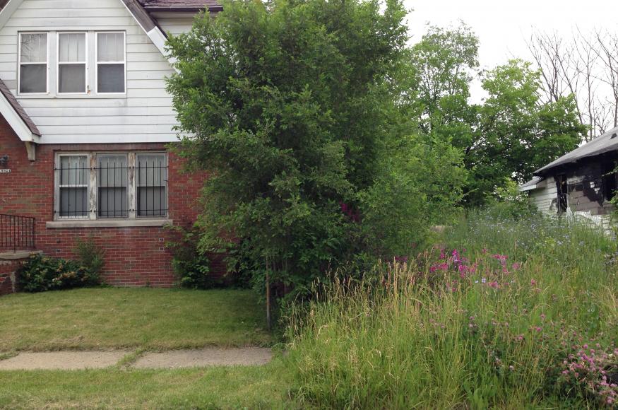 Mowing is a Quality of Life Indicator for Neighbors and Residents.